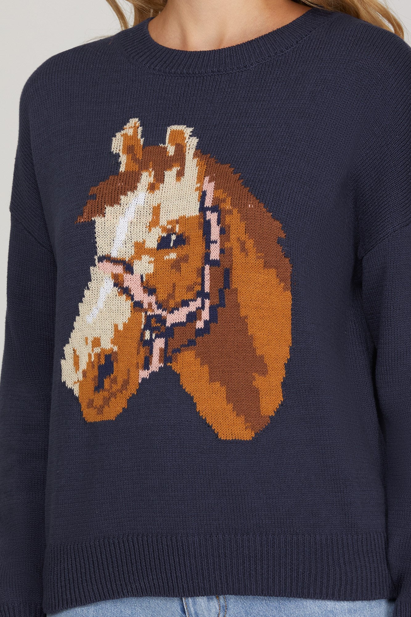 Horse Pattern Sweater