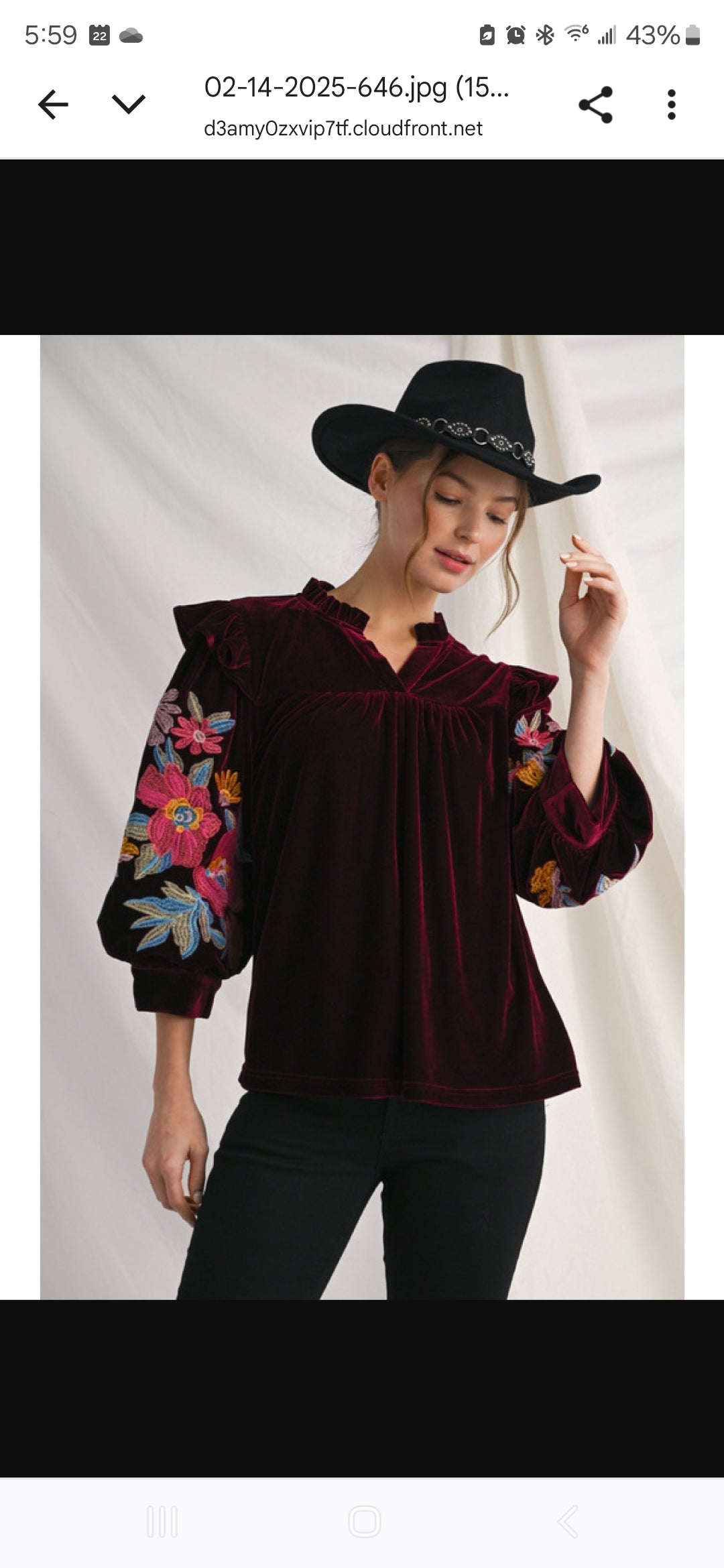Floral Embroidery Velvet Top